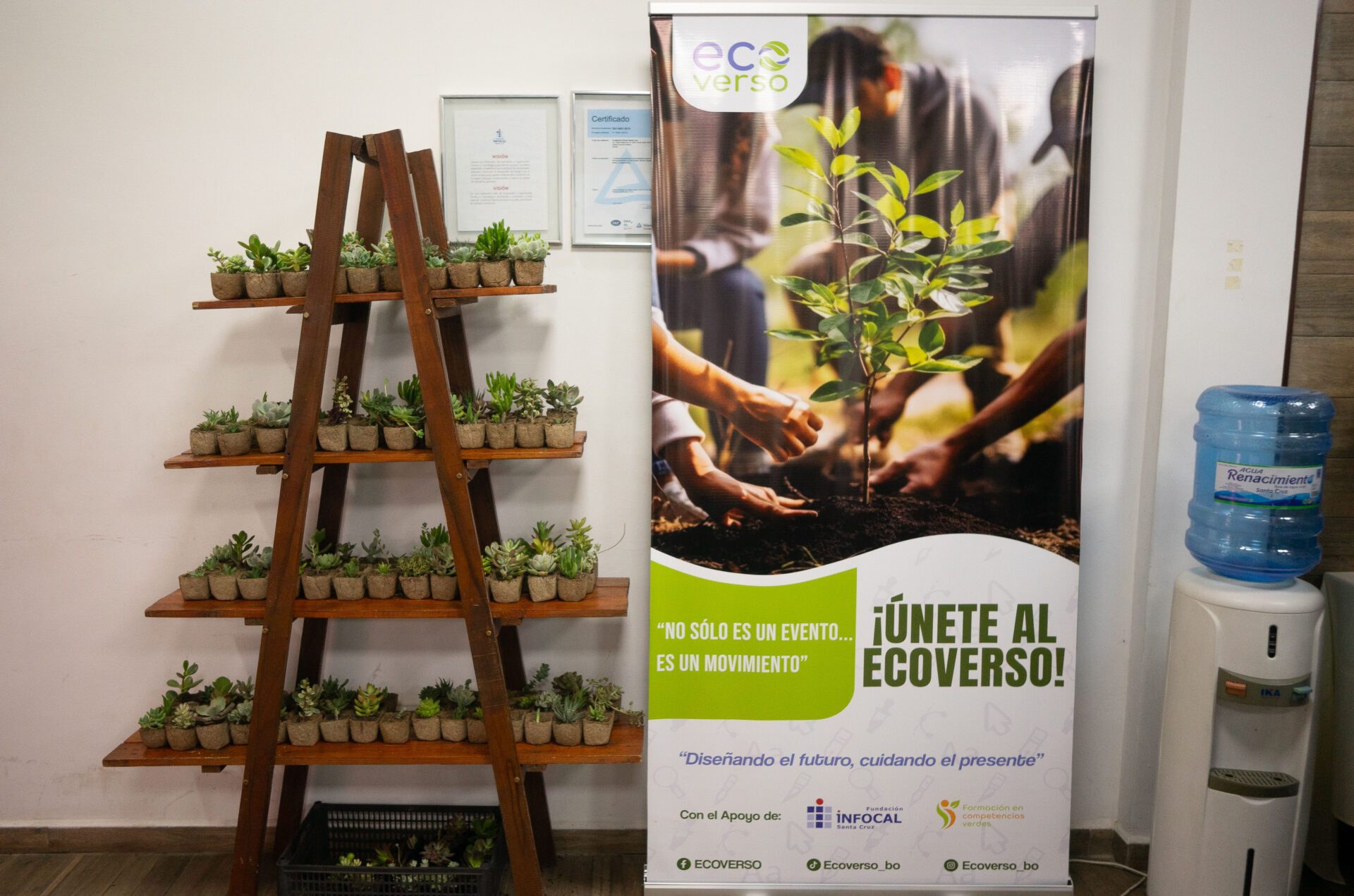 Ecoverso Auditoria