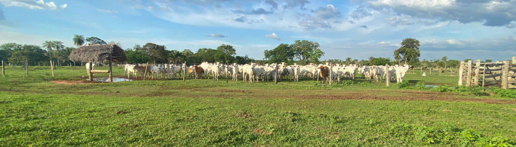 Portada Agropecuaria Carrera