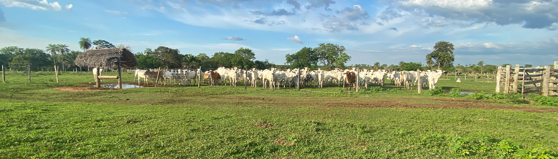 Portada Agropecuaria Carrera